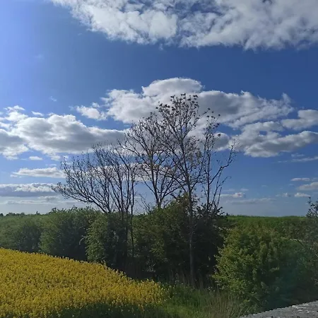 Landblick - Idyllische An Der Nordsee Apartment