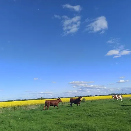 Apartment Landblick - Idyllische An Der Nordsee Simonsberg